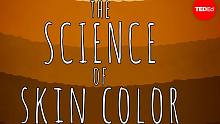 【TED科普】皮肤颜色（中英字幕）