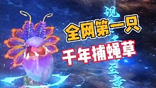 妄想山海:全网第一只，千年捕蝇草！