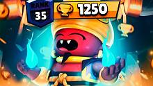 Rank 35 Gene