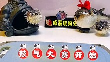 我去拿鑷子！你們倆誰也別跑！