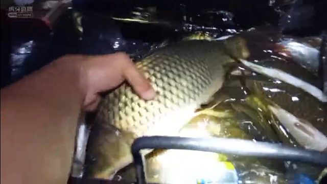 水库开搞-爆护爆杆