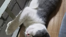 我欠你一老婆是不是