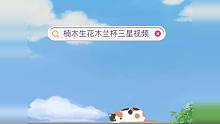 木兰杯楠木生花三星视频