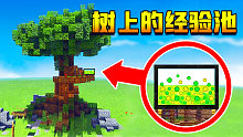 小七在树上造了一个微型经验制造池，为了防止再次崩端！鱼七历险记