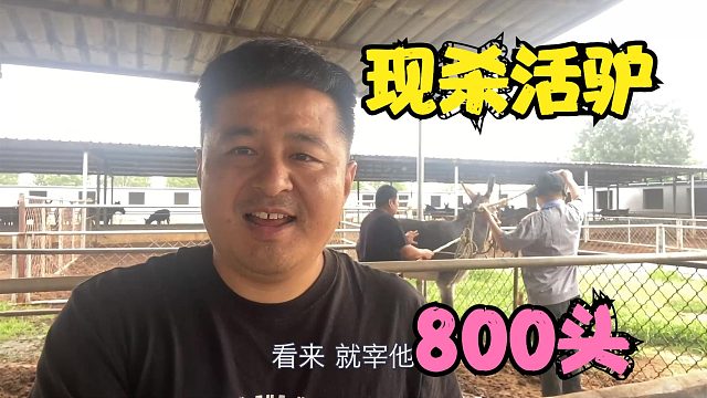 来到一个大型养驴场，养了800多头驴，现杀活驴，肉都不够卖