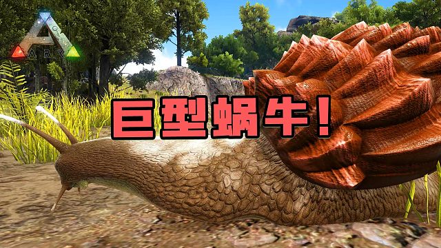 方舟生存进化：玛瑙螺！导致水泥厂倒闭的罪魁祸首！