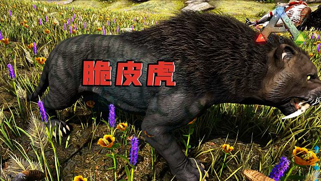 方舟生存进化：剑齿虎！训它是我一生中最拉闸的决定！