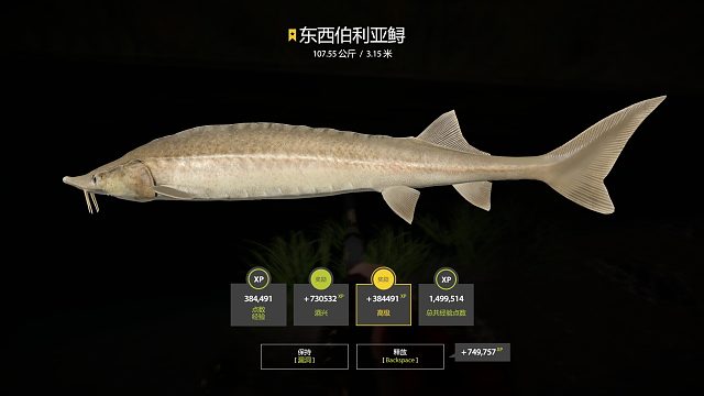 星东子圆梦！（3）