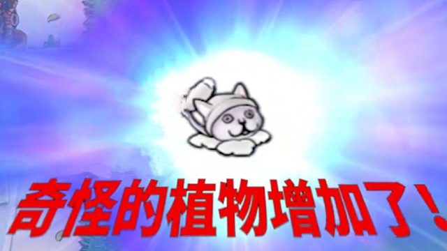 【菜猫】羊--------神秘版本 重要时间