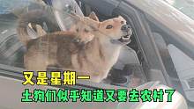 我發(fā)布了一個(gè)新視頻，快來(lái)圍觀吧！