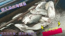 潮汕渔民投入数百万元出海捕鱼，每日收入近万元，餐餐吃新鲜海鲜