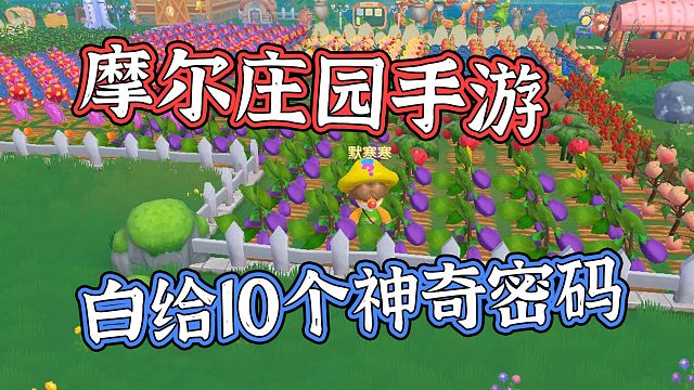摩尔庄园手游 10个最新兑换密令分享给大家 默寒解说