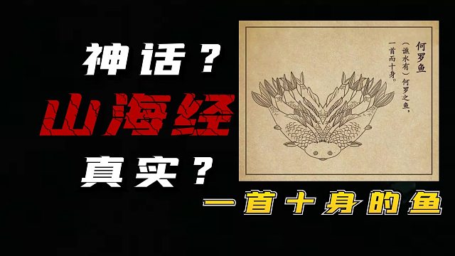 山海经中的异兽竟然在现实中也找到了模型，它究竟是神话还是真实？