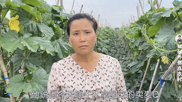 农村老爸丢了4000元卖麦钱，气的坐在地头不起来，老妈直说没本事