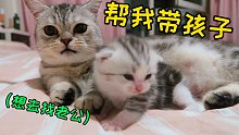 誰說貓媽護(hù)崽？我家貓媽老把孩子丟給我！還總?cè)フ宜呀^育的老公??！