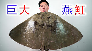 試吃巨大燕魟，肉質(zhì)跟螃蟹一樣，把攝影小哥整急眼了