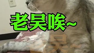 長江后浪推前浪，一浪把老吳拍在了沙灘上