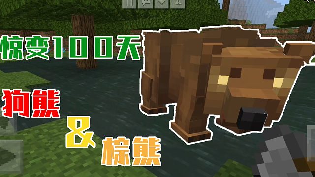 我的世界惊变100天：是狗熊还是棕熊
