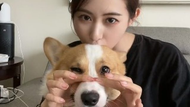 太动听了友友们