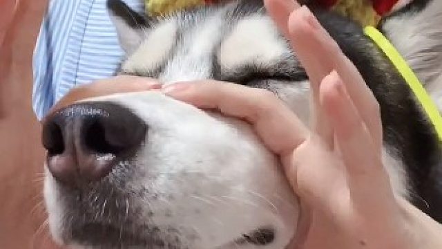 又是被迫营业的一天