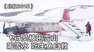 飞机失事，飞行员被困雪山，靠喝雪水，吃生鱼自救《北极》