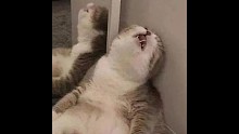 躺