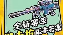 新赛季狙击枪版本答案