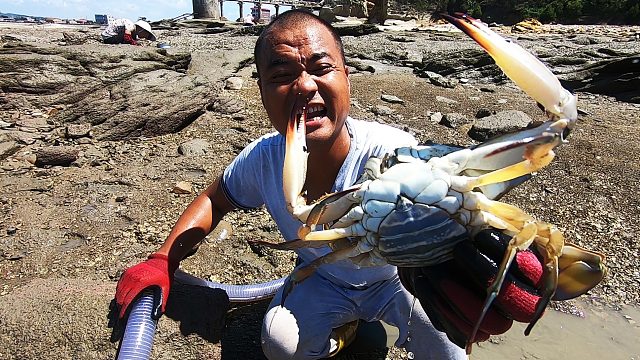 从来没有抽过的百平新坑，整个水坑都沸腾了，一只海货就够油费了