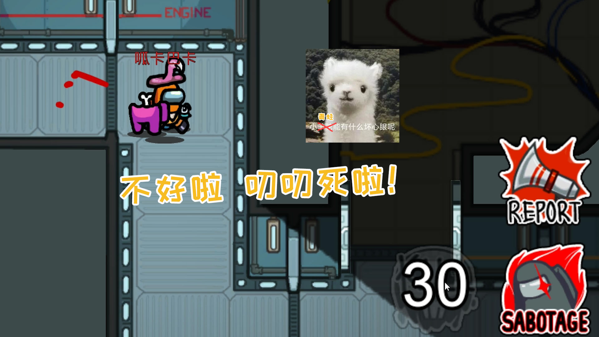 欢迎来到喳喳呱的直播间