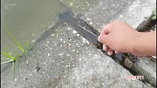 水泥缝钓鱔