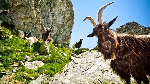 【经典战役Top250】（上）本来很困难的局势坚持一下下就好了~~相信队友相信自己~~