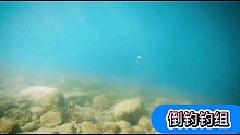 綁鉤，路亞倒釣釣組綁法，黑坑全看它 "路亞 "路亞教學 "釣魚人