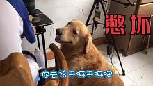 我發(fā)布了一個(gè)新視頻，快來(lái)圍觀吧！