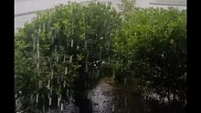 好大的雨