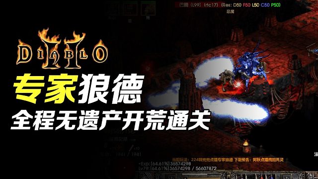 【狂鸟老梁】暗黑破坏神2 专家狼德 不开图不显怪 全程无遗产开荒通关（终）