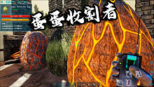 方舟：恐龙革命20，一次偷了3颗飞龙蛋，要发财了！