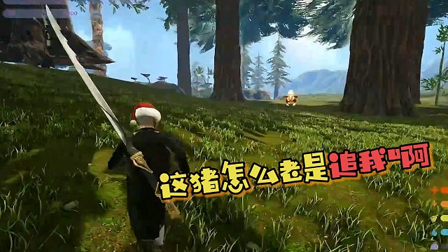 【龙飞】这猪怎么老是追我啊