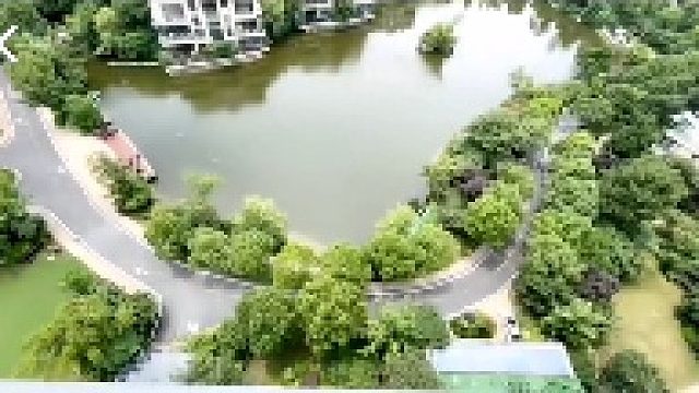 20210709-52007小鲁班-11点【户外】-鹅