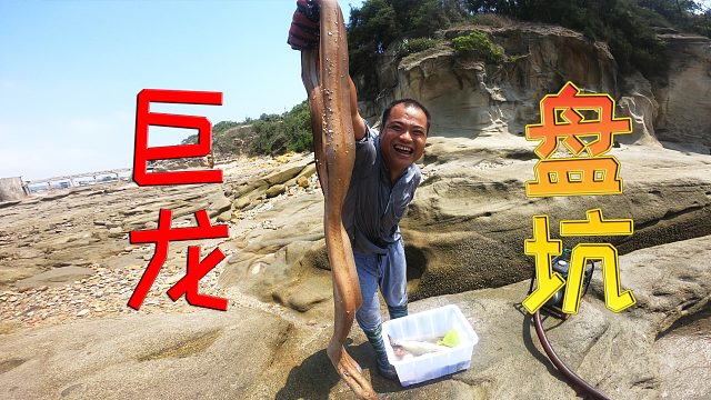 2米深坑连撒3天猪血，千年难得一见的巨龙盘坑，7斤鱼大王卖500多