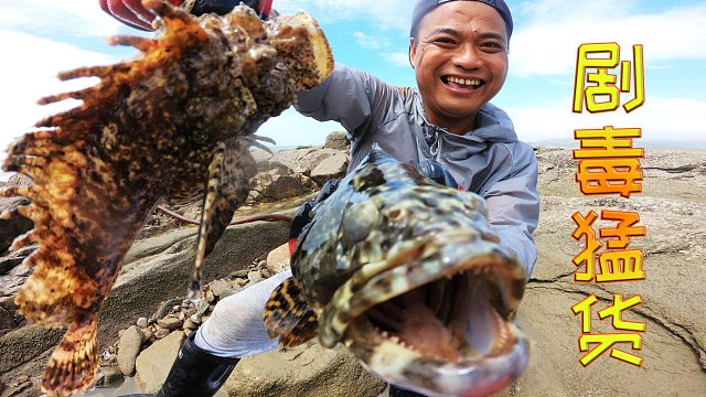 撒入50斤猪血的水坑，各种海货打起水花，400一斤的剧毒猛货都有