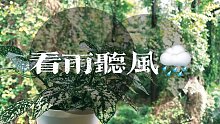 點擊獲得美國東海岸的夏日雷陣雨丨學習休息BGM丨白噪音丨我的陽臺外面就是小森林呀丨喝咖啡看雨