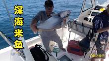 釣石斑遇到深海米魚群，阿鋒連續(xù)釣上兩條，高興的跳起了舞