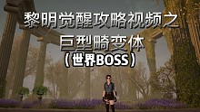 如何提升自己打BOSS的伤害