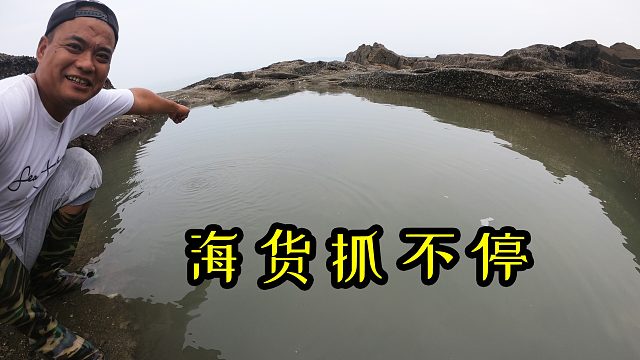 百平大坑撒入几十斤猪羊血，鱼群乱窜，一条又一条的海货抓不停