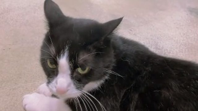 哈哈哈哈哈哈哈哈完了呀