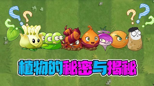 植物大战僵尸：关于植物你不知道的事！终于知道僵尸飞去哪了！