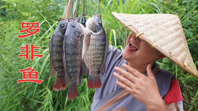 老表送来4条罗非鱼，整一锅香辣罗非鱼，两人边吃边聊真过瘾！