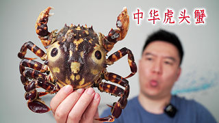试吃中华虎头蟹，虽然非常凶猛，出锅后却超级无敌好吃
