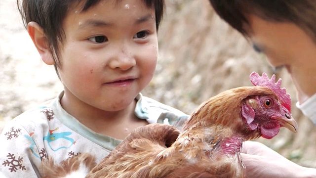 小女孩抱着鸡玩了一天！爸爸倒下了哥哥们去上学了，鸡是她唯一的玩伴～