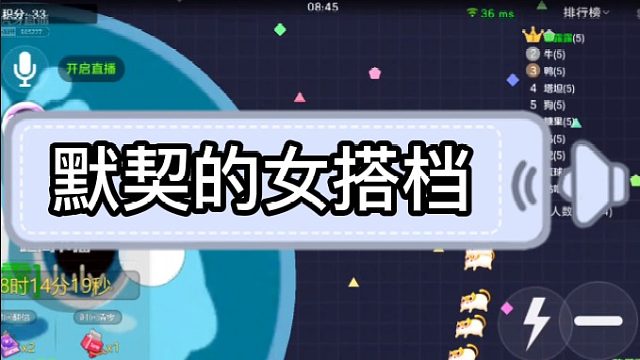 [七七]默契的女搭档